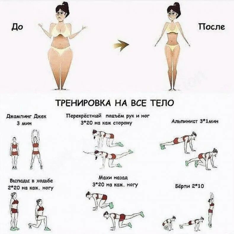 Комплекс упражнений для похудения дома. План тренировок. Тренировка для девушек новичкам для похудения. Круговая тренировка для девушек в тренажерном зале. Упражнения для жигание жирв.