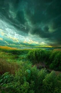 Всякие пейзажи