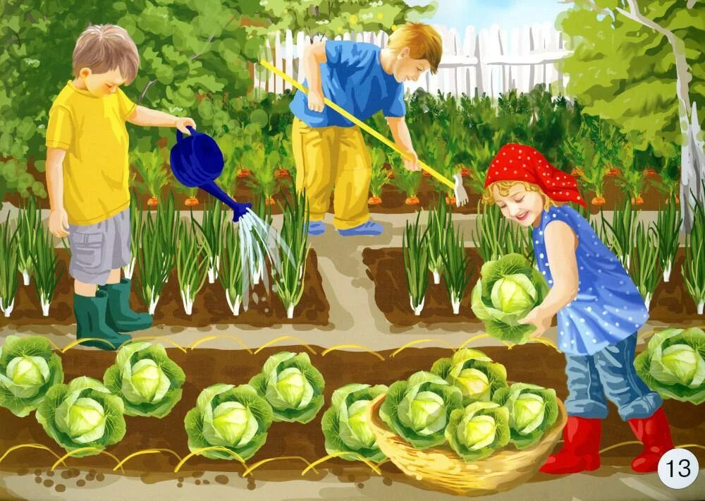 Соберем урожай вместе. Огород с грядками для детей. Картина огород для детей. Огород для дошкольников. Грядка с овощами для детей.