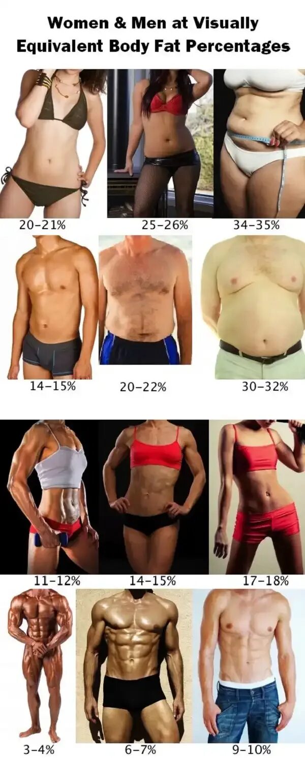 20 Body fat. Процент жира. 20% Жира в теле.