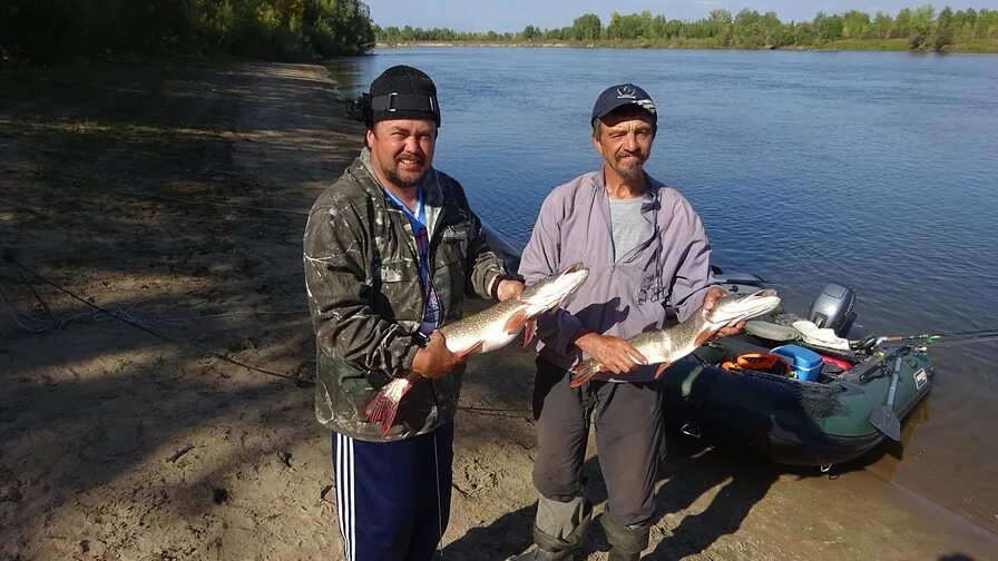 Прогноз погоды в чулыме. Река Чулым Томская область рыбалка. Рыбалка на Чулыме. Рыбалка на реке Чулым Красноярский край. Рыба в Чулыме.