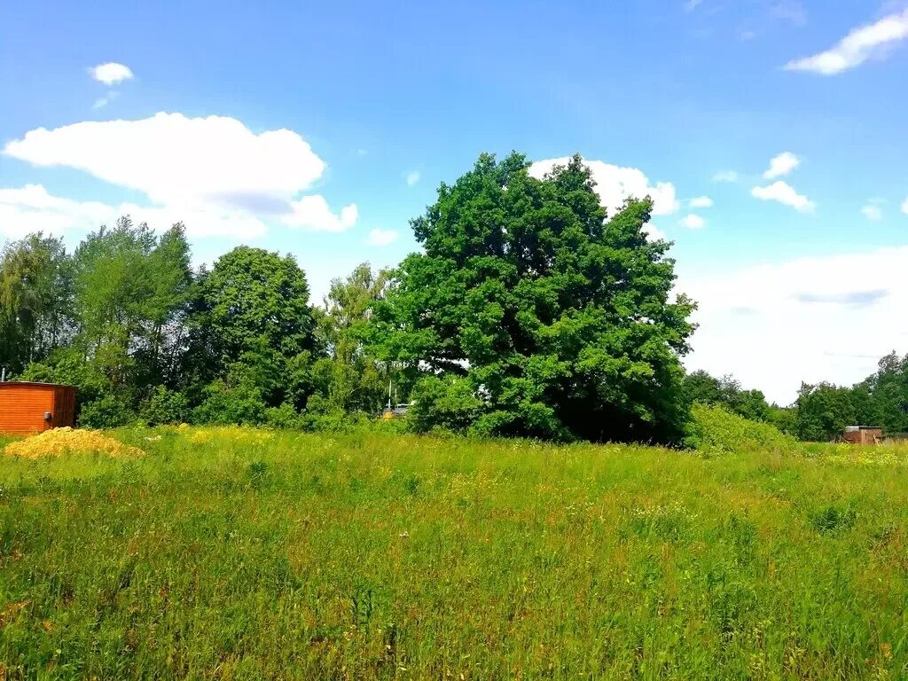 На 14 дней заокский. Пахомово заокский район. Яковлево подольский район электричество. Дожди заокский. На 14 дней заокский.