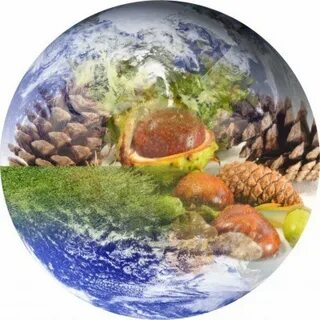 Как сохранить ресурсы планеты земля