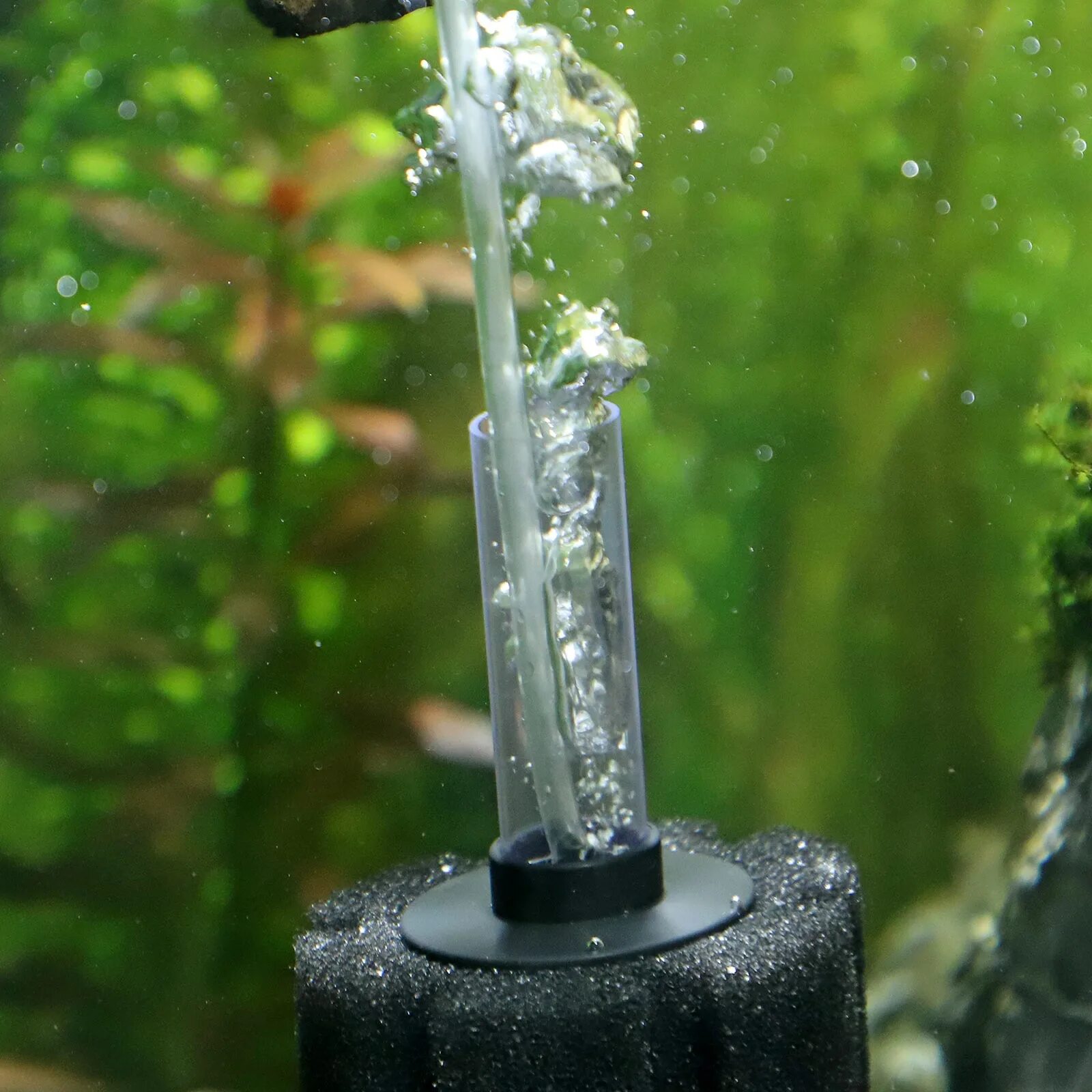 Лагуна внешний фильтр kf 2218 шланг для забора воды. Фильтр аэратор для аквариума hagen a 575. Флейта внешнего фильтра. Флейта внешнего фильтра. Eheim aquaball 2402.