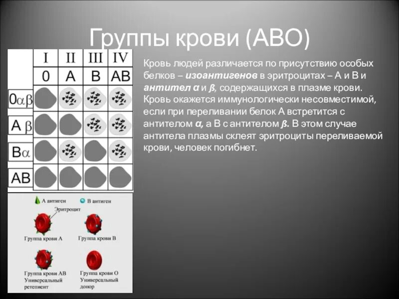 Иммунитет и группы крови 8 класс биология. В группах крови особенные белки. Изоантигены эритроцитов. Иммунологический конфликт в системе АВО. Группы крови содержание белков