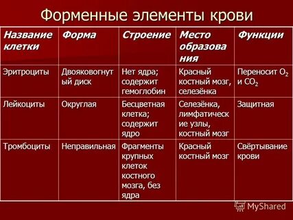 Какую функцию выполняют лейкоциты и тромбоциты
