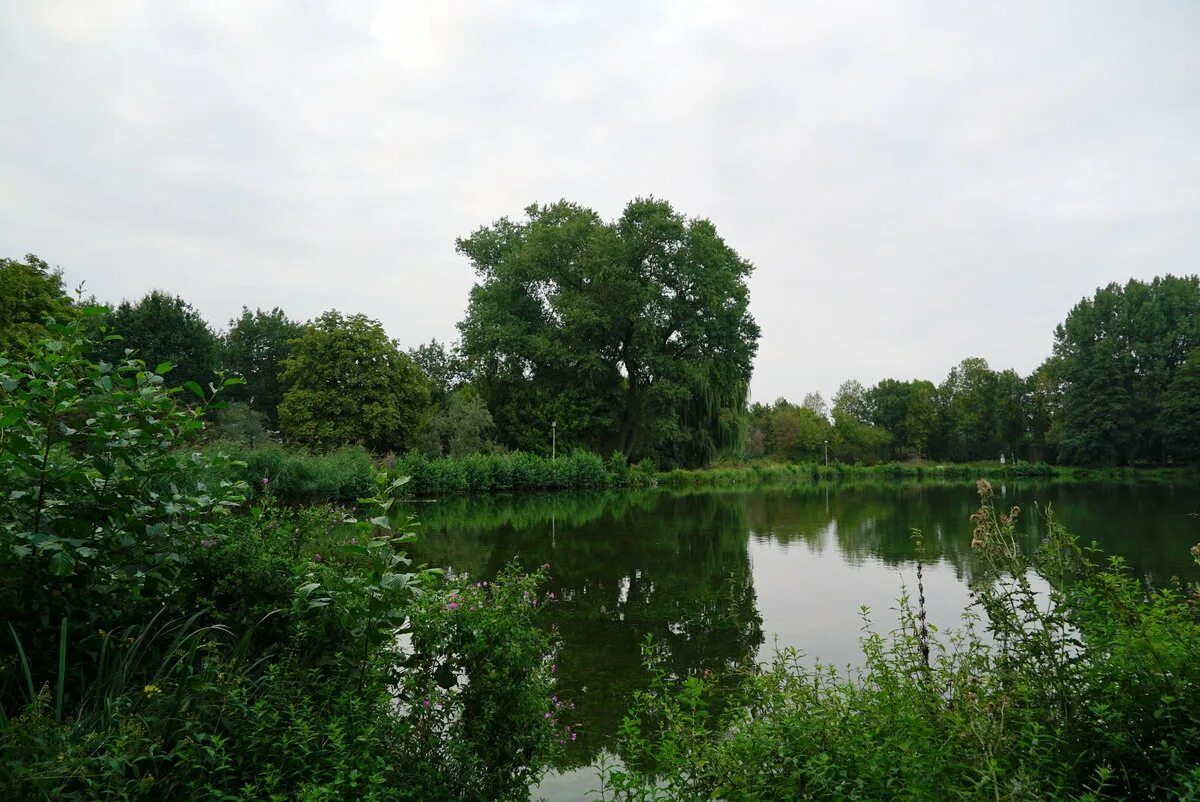 староживотинное. староживотинное воронеж. воронеж староживотинное церковь. пруд в маслово становлянский район. воронеж староживотинное церковь.
