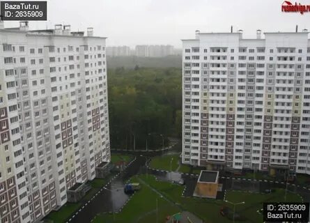 Кучино смельчак 15