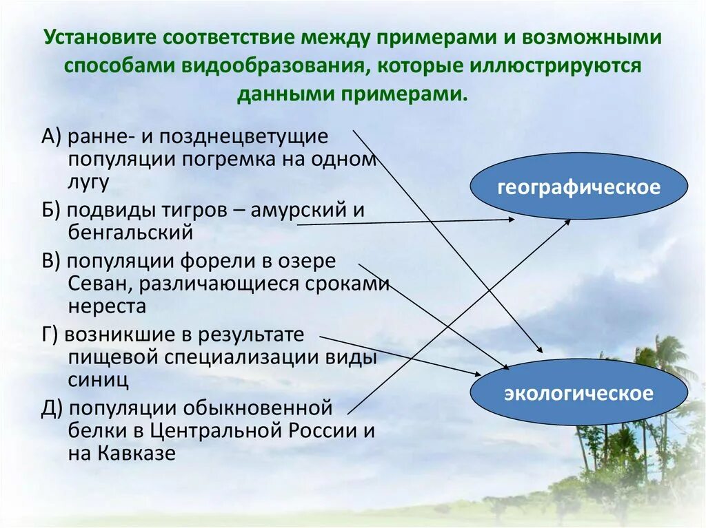 Установите соответствие между методом