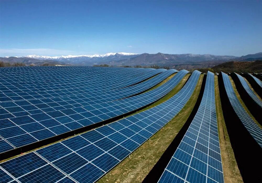 Энергия растений. Поля солнечных батарей. Солнце источник энергии для растений. Энергию солнца поглощает. Solar energy солнечная батарея.