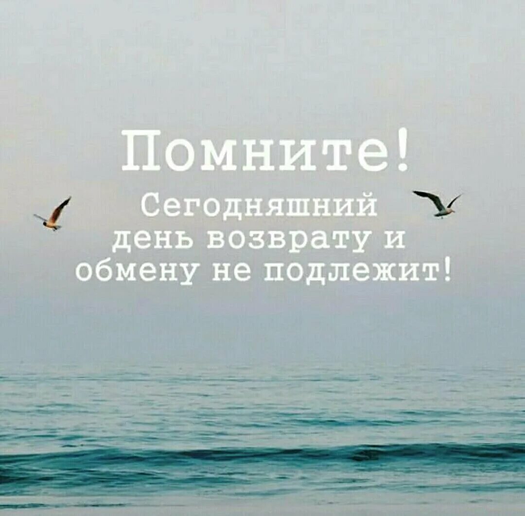 Цитата дня. Фраза дня мотивирующая. Афоризмы на каждый день. Позитивные вдохновляющие фразы. Мотивация цитаты.