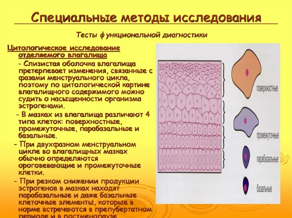 Функционально диагностические тесты. Тесты функциональной диагностики. Функциональные тесты в акушерстве. Тест с ответа функциональная диагностика с ответами. Функциональная диагностика тестирование.