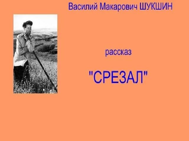 Иллюстрации к произведениям Шукшина. Шукшин чудик урок в 7 классе. Чудик Шукшин иллюстрации. Презентация шукшин чудик 7 класс