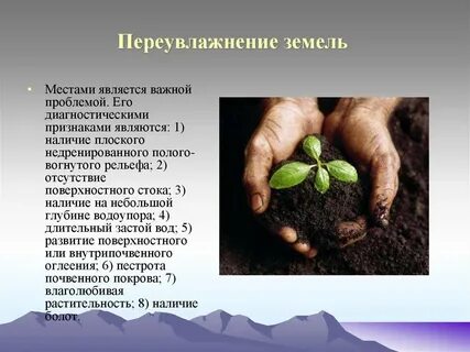 Переувлажнение почвы