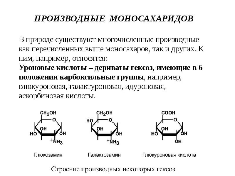 Наиболее распространенный моносахарид. Производные моносахаридов аскорбиновая кислота. Производные моносахаридов уроновых кислот. Производные моносахаридов химическое строение. Производные моносахаридов нейраминовая кислота.