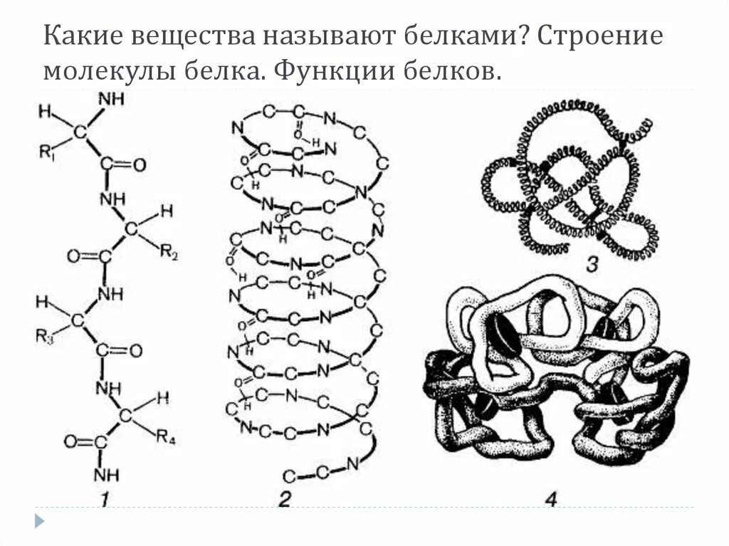 Белки соединение в цепи