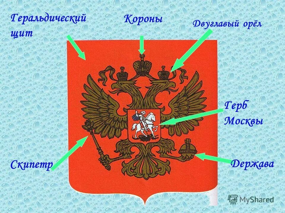 Где расположен герб. Герб Орел скипетр и держава. Части герба России. Геральдический двуглавый Орел. Части герба России с названиями.