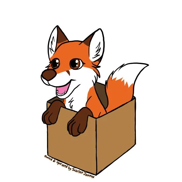 Фокс бокс. Логотип foxbox. Fox in box. Лисы в коробке. Fox app.
