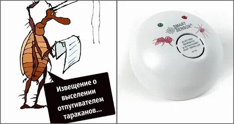 Тараканов анекдот