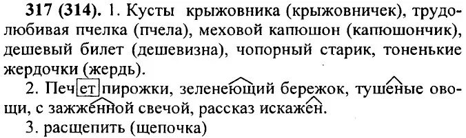 Русский язык пятый класс номер 113. Русский язык 5 класс номер 317. Русский язык 5 класс 317 упражнение Разумовская. Русский язык 5 класс упражнение 317. Решение упражнения 317 по русскому языку 5 класс.