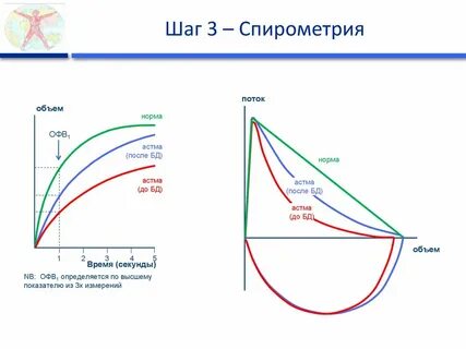Спирограмма при астме