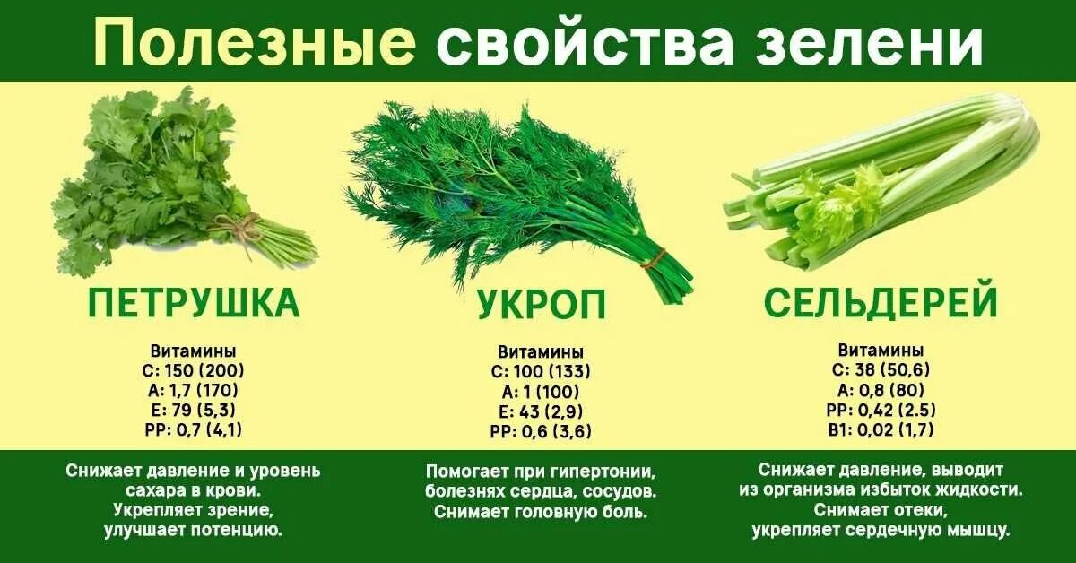 Сельдерей содержание витаминов. Петрушка укроп состав витаминов. кинза сельдерей петрушка. полезные свойства зелени. какие витамины в петрушке и укропе.