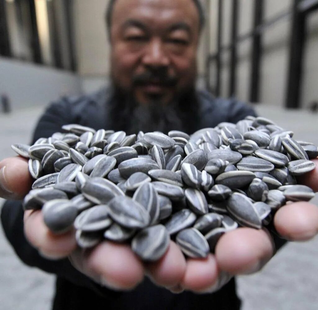 3д принт с семечками. Горсть семечек. Семечка с лицом. Испорченные семена подсолнечника. Мужские семечки.