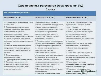 Уровни обучения и их особенности