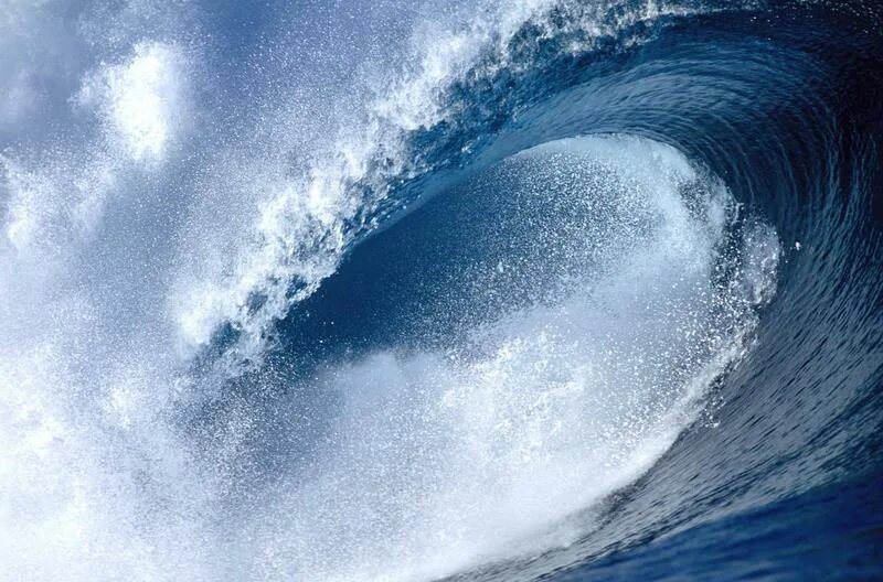 The wave c