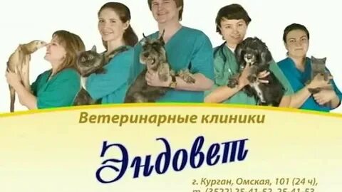 Ветклиника курган