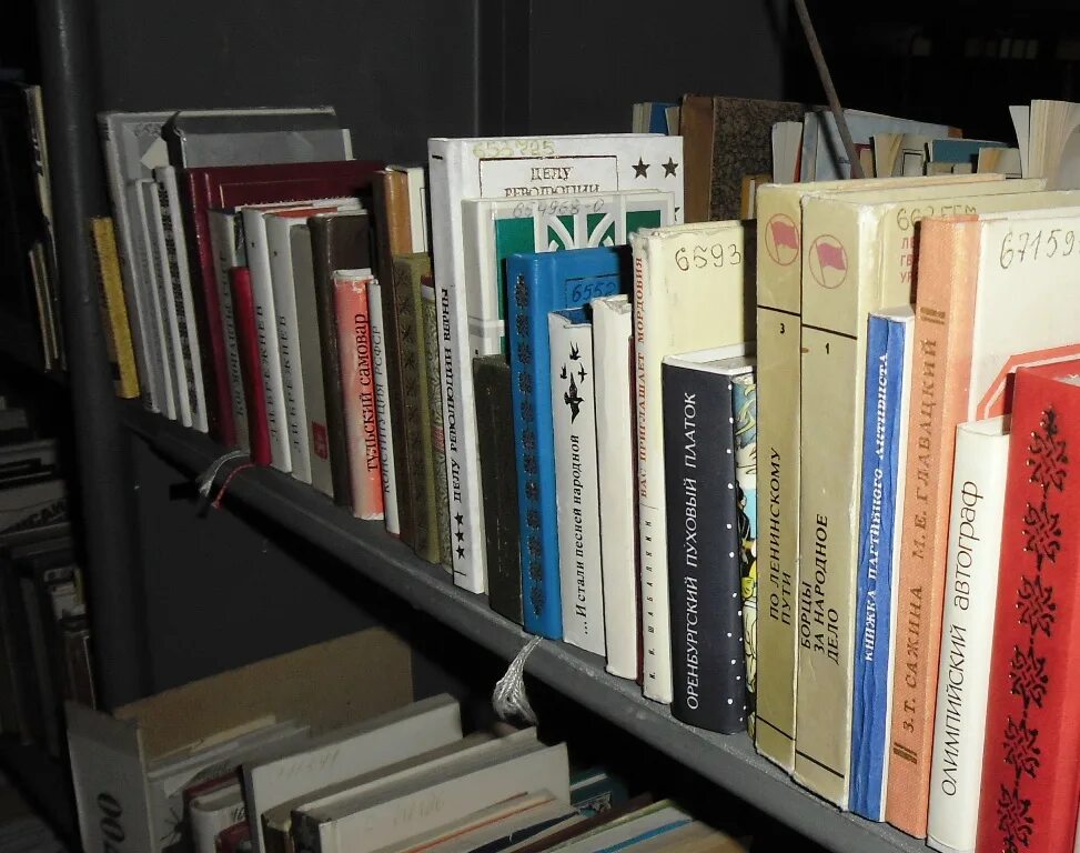 книжные ульяновск. 1000000 книг. книжный магазин. ульяновский дворец книги внутри. склады книг ульяновск.