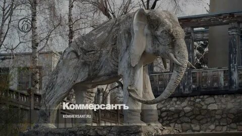 Слон самара