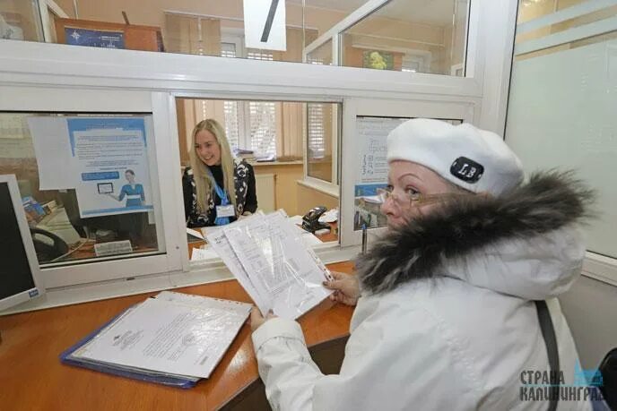 Начальник пенсионного фонда калининграда. Начальник клиентской службы пфр. Пенсионный отдел калининград на сосновой. Пенсионный фонд калининград сосновая. Пенсионный фонд калининград сосновая.