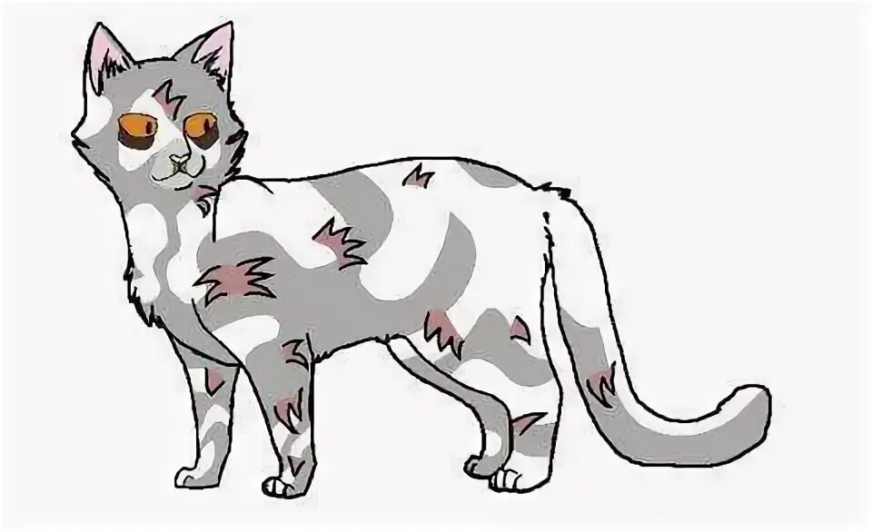 Коты воители как хорошо ты знаешь
