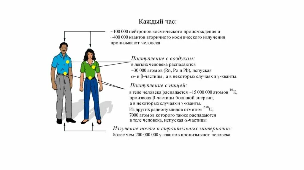 Как проявляется воздействие нейтронного излучения. Нейтроны воздействие на человека. гамма лучи как влияют на человека. как излучение пронизывают города.