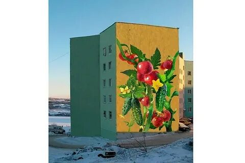 Каталог снежногорск