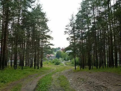 Ширина ковров