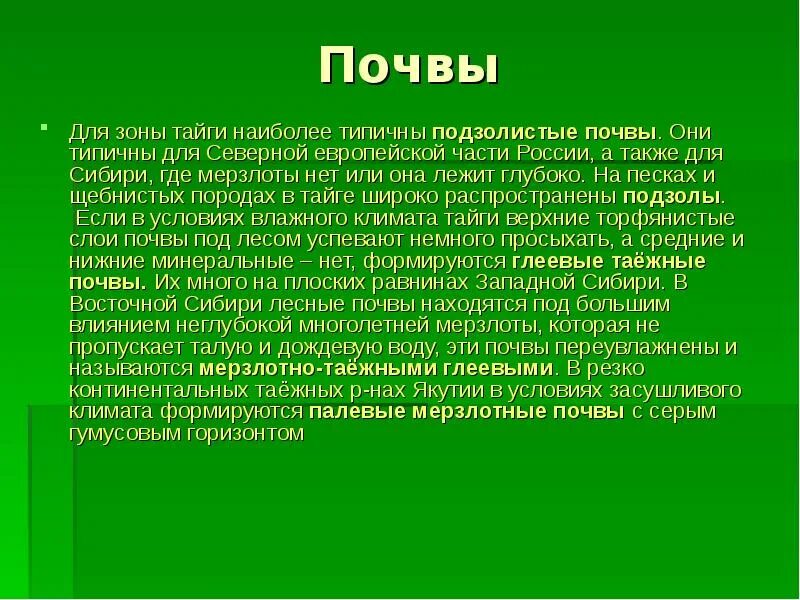 Почвы тайги и их свойства. Почвы зоны тайги. Почвы Западной Сибири. Почвы Восточно сибирской тайги. Тайга презентация.