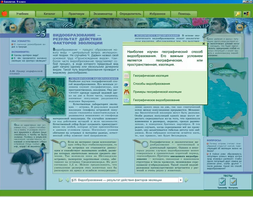 Электронное приложение к учебнику 9 класс. Аудиокурс к учебнику 9 класс английского  кузовлев. Электронное приложение к учебнику 9 класс. Электронные учебные пособия по физике. Электронное приложение к учебнику 9 класс.