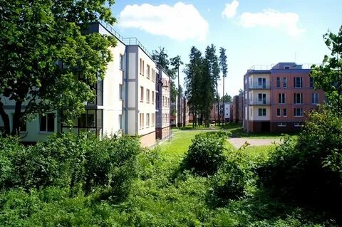 Погода в ильичево выборгского