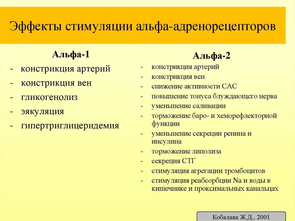 Эффекты стимулирования. Стимуляция Альфа адренорецепторов. Эффект стимулциии Альфа 1 адрено рецепторы. Альфа адренорецепторы эффекты. Эффекты при стимуляции Альфа адренорецепторов.