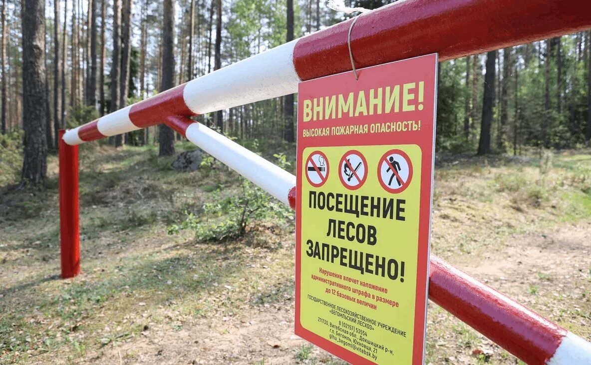 Запрет на посещение лесов в беларуси 2025. Посещение лесов запрещено. шлагбаум в лесу. ограничение посещения лесов. запрет на посещение лесов.
