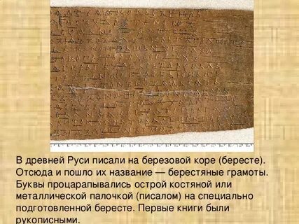 Книжная 5 букв