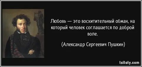 Фраза вы ничего не понимаете