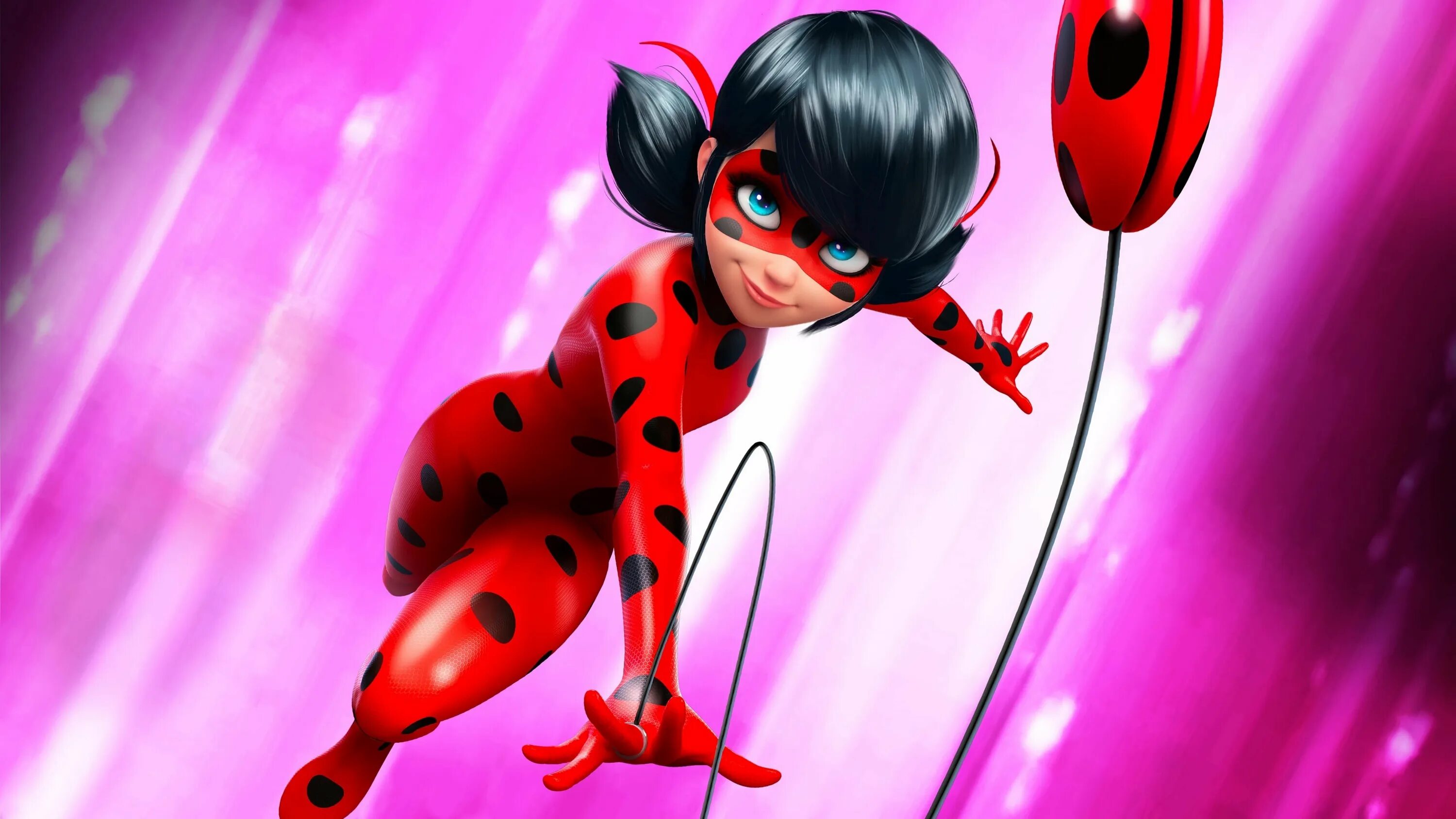 Lady bug 3d