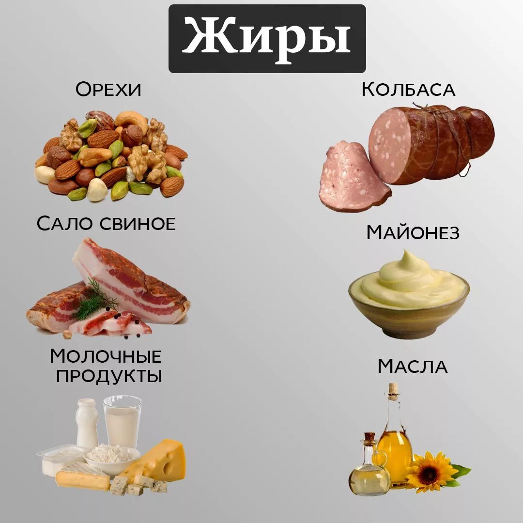 Жиры это простыми словами. Жиры. Жиры это кратко. Жиры в продуктах.