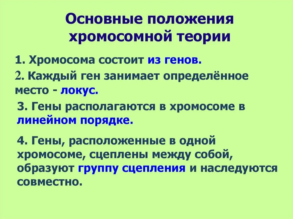 Положениями хромосомной теории наследственности является. Хромосомная теория наследственности сцепленное наследование. Положения хромосомной теории наследственности. Основные положения хромосомной теории наследования. Основные положения хромосом.