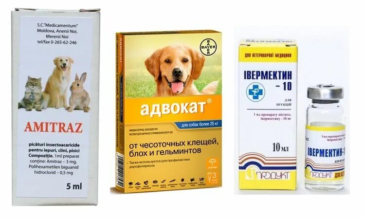 Демодекоз у собак препараты. Демодекоз препараты для животных. Препараты от подкожного клеща у собак. Препарат от подкожного клеща для собак таблетки.