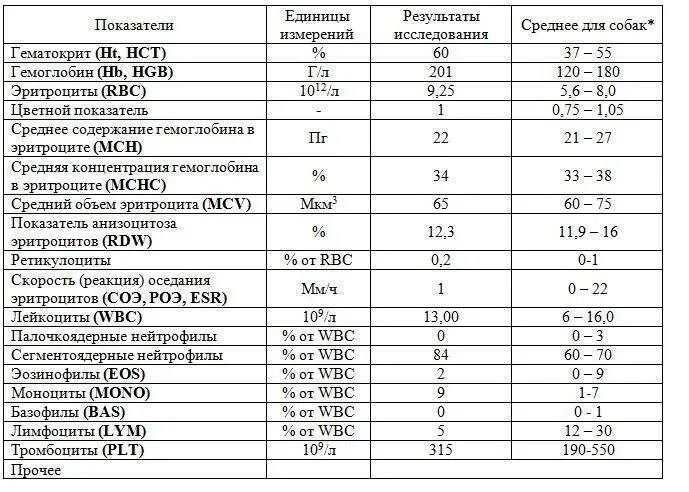 Высокое соэ у мужчин. Общий анализ крови СОЭ норма. Показатель СОЭ В анализе крови норма. Показатель СОЭ В анализе крови норма у детей. СОЭ В анализе крови норма у детей по возрасту.