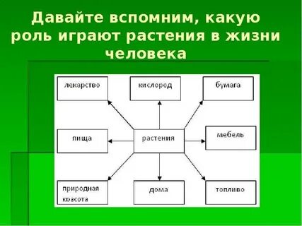 Какую роль играют простейшие в природе